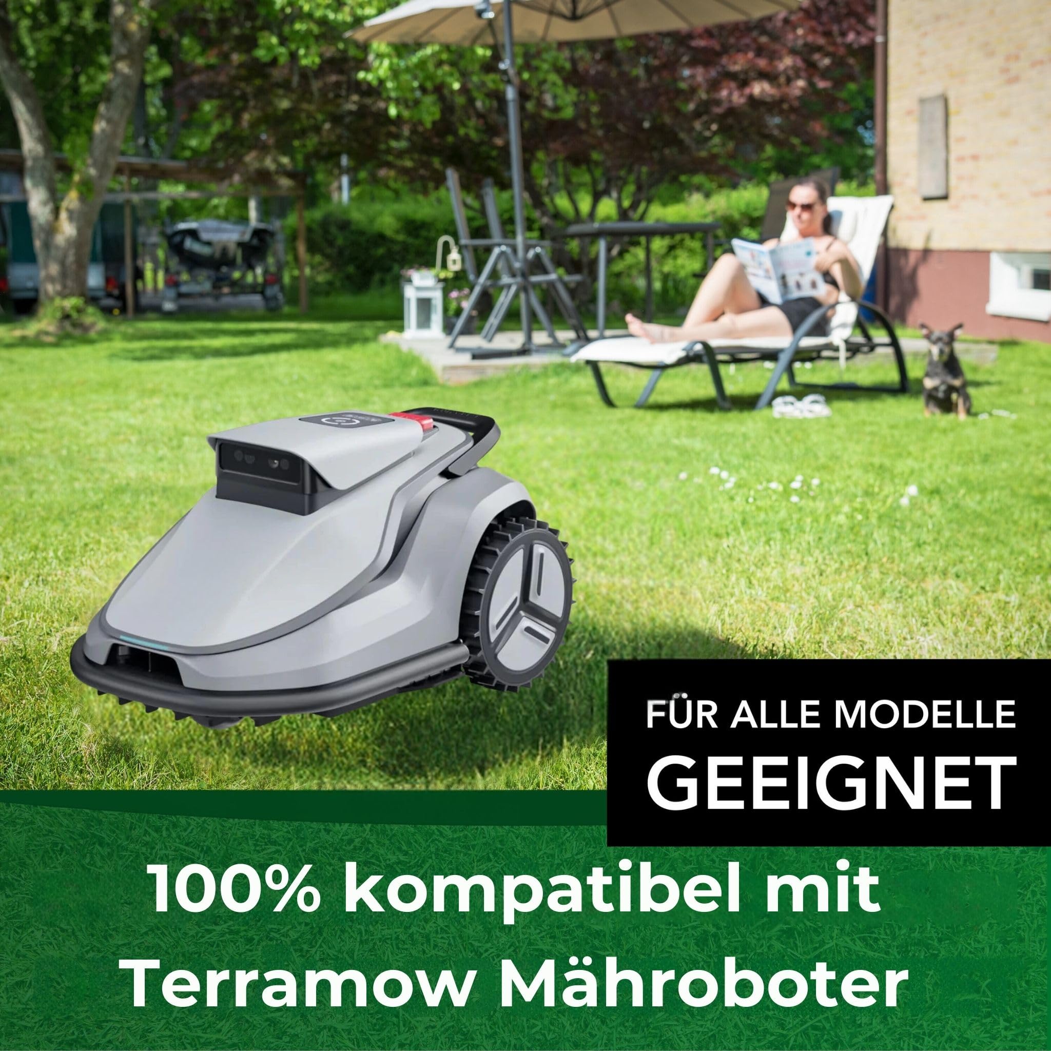 Genisys Lame acciaio inox robot Terramow 30 pezzi 1 foro