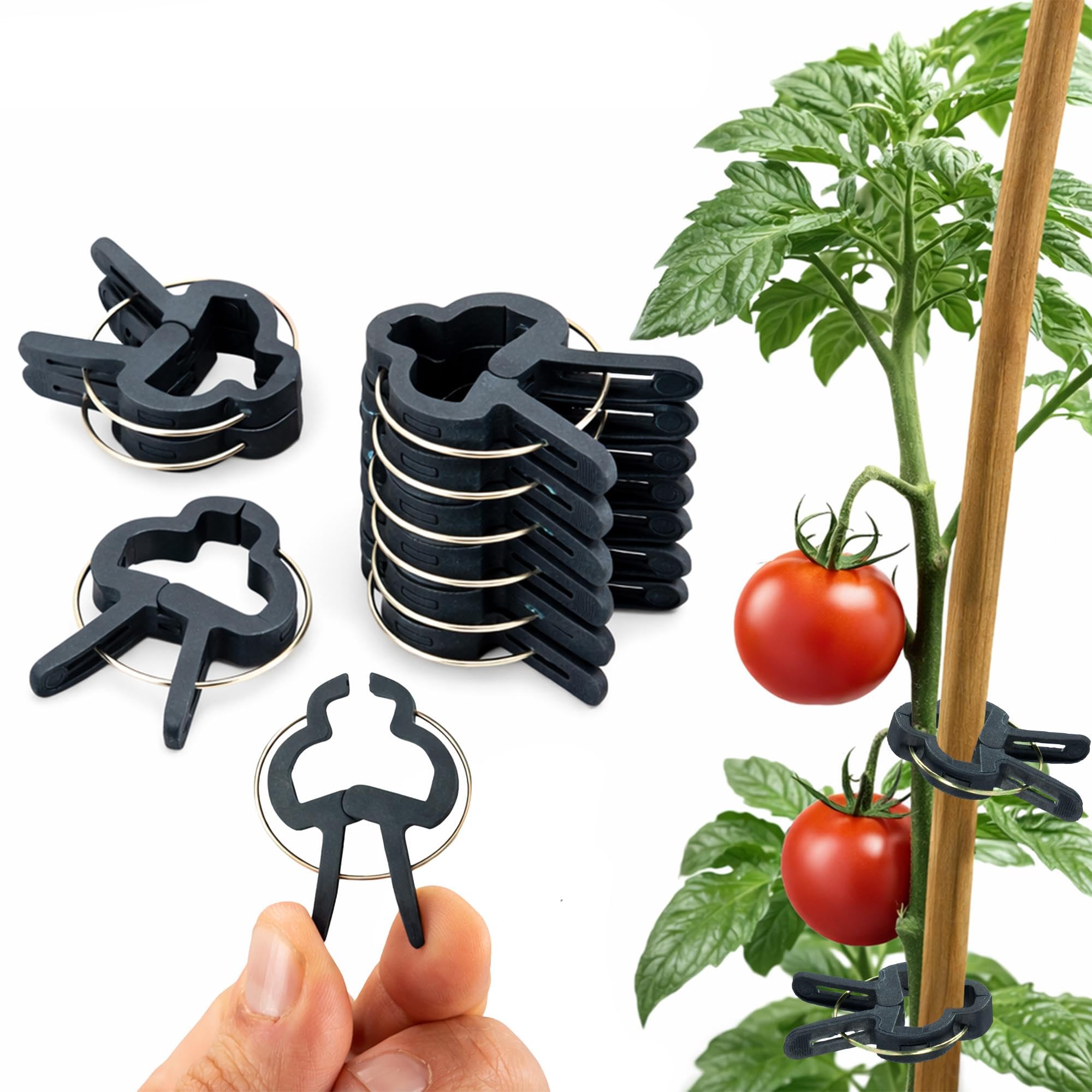 ECENCE clip piante pomodori 60 pezzi misura M verdi