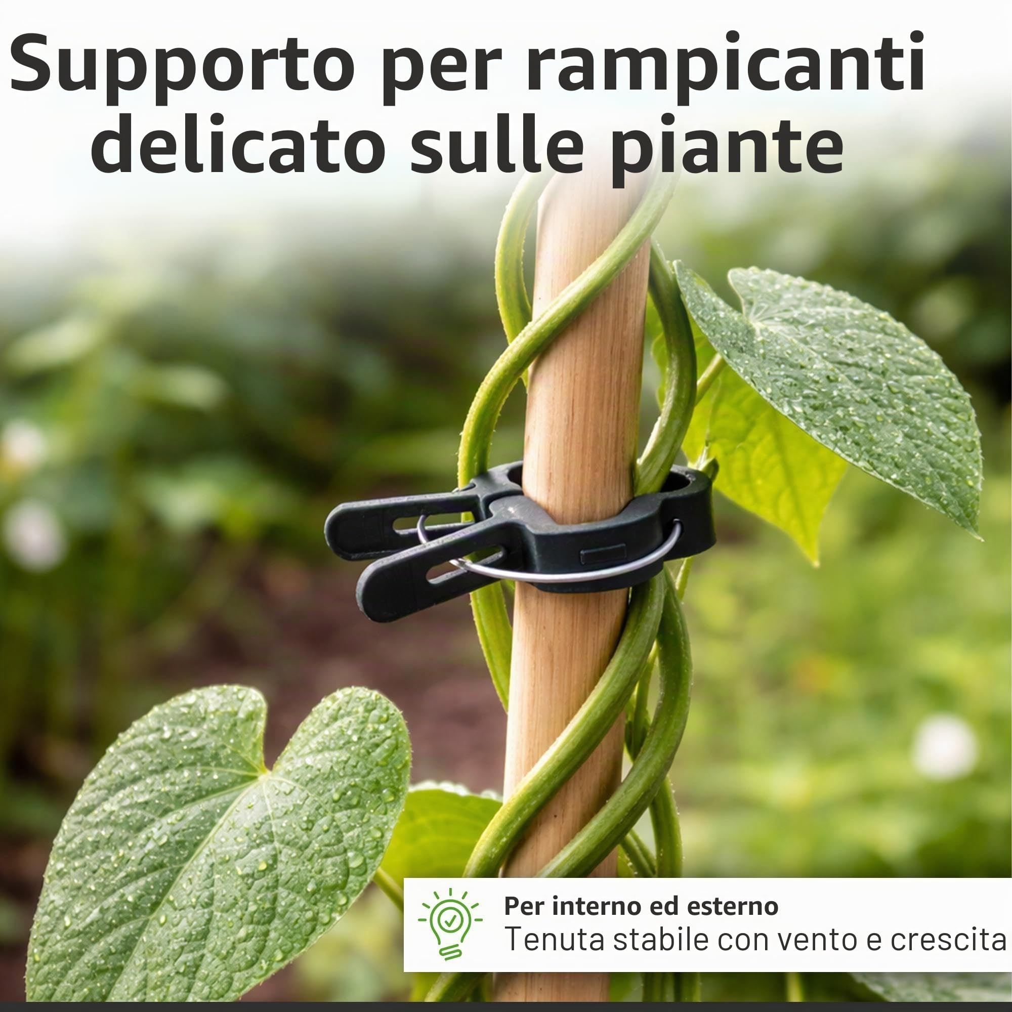 ECENCE clip piante pomodori 60 pezzi misura M verdi