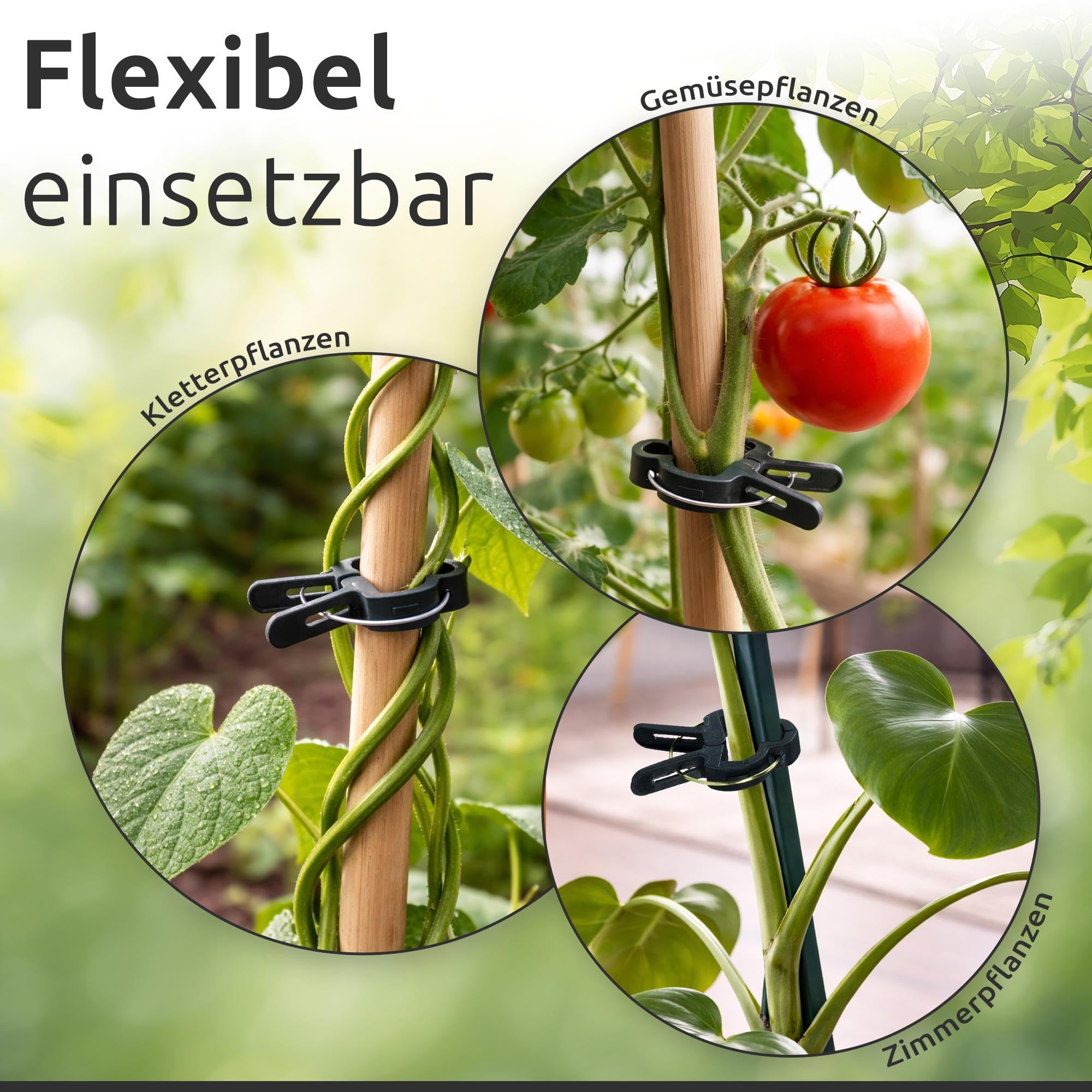 ECENCE clip piante pomodori 60 pezzi misura M verdi