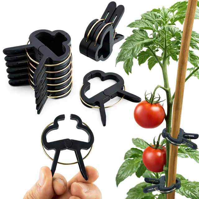 ECENCE clip piante pomodori taglia L 60 pezzi verdi