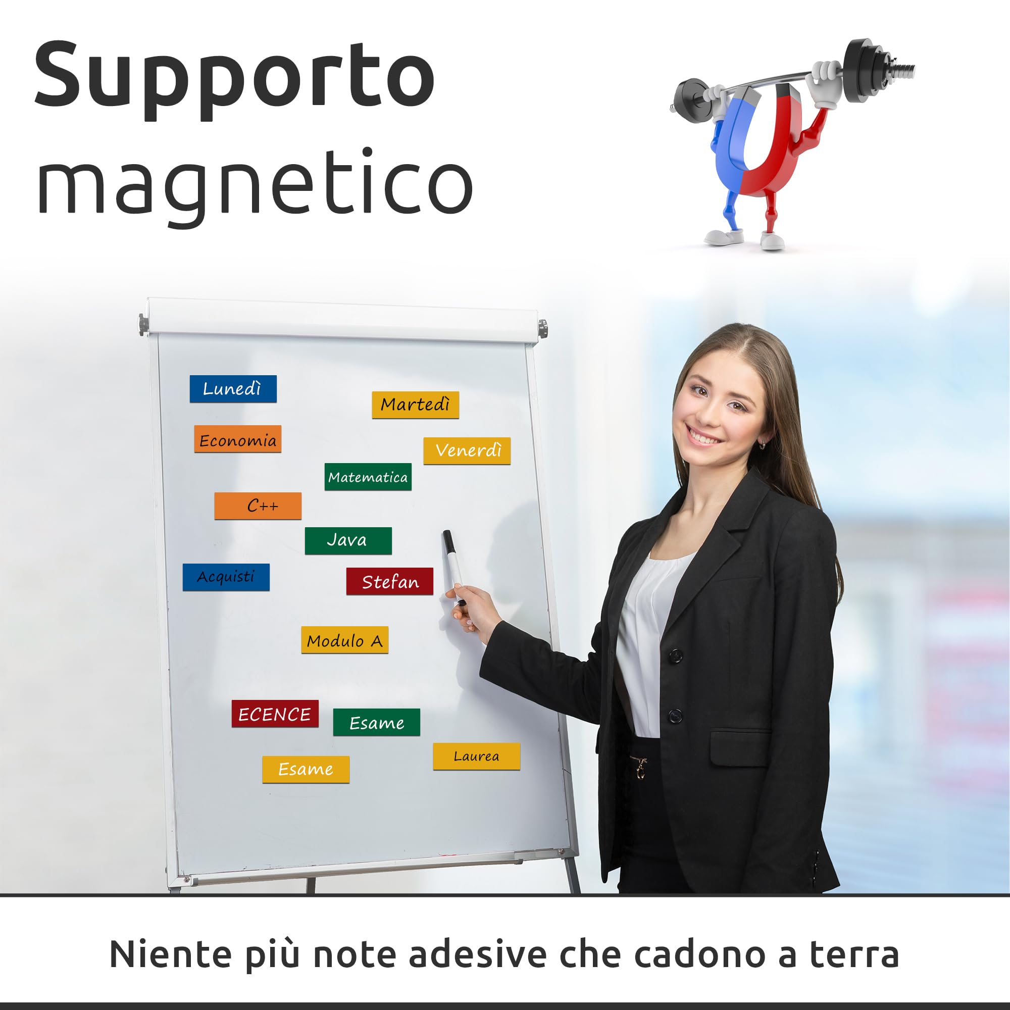 ECENCE etichette magnetiche 150 pezzi 60x20 mm colorate