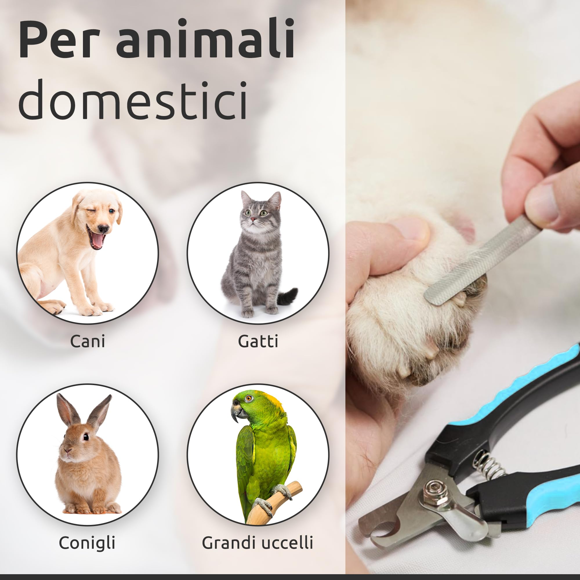 ECENCE Tagliaunghie Cani Gatti Acciaio Inox con Lima Sicurezza