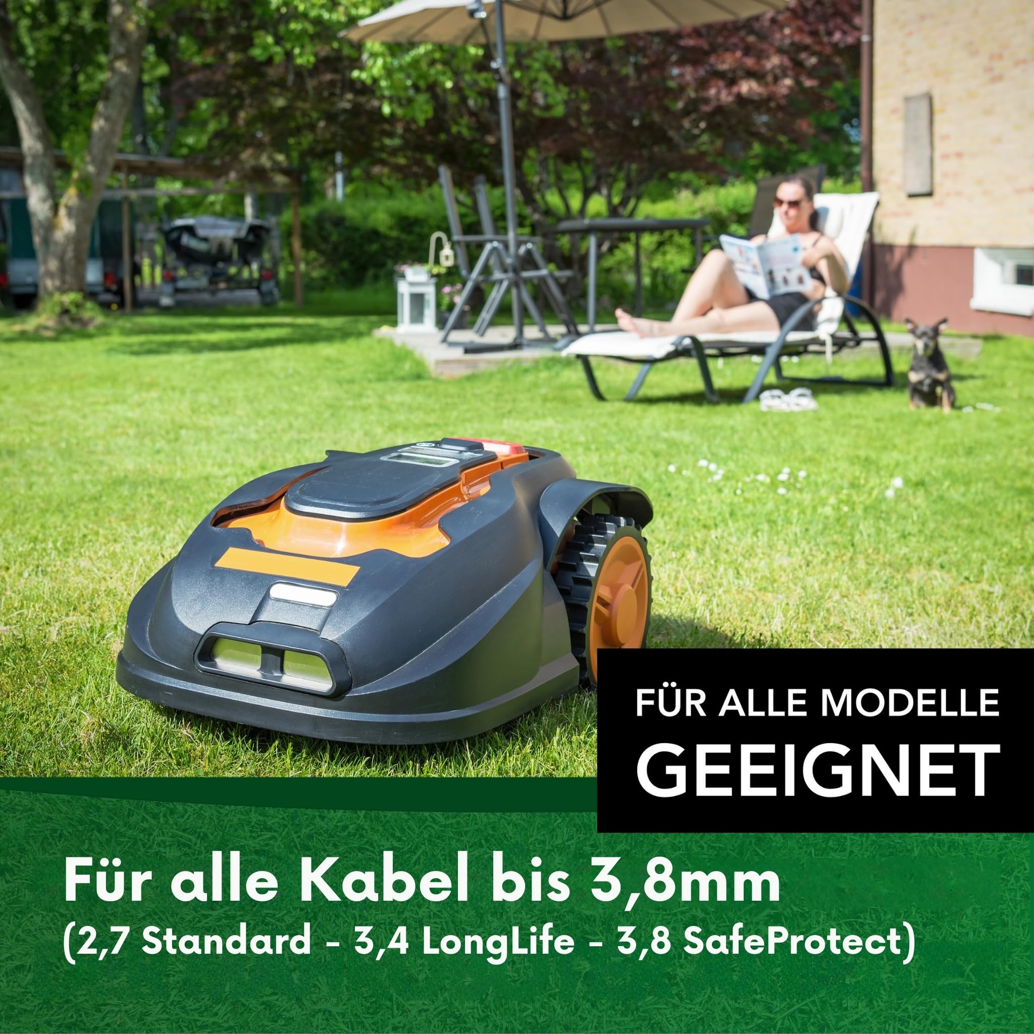 Genisys connettori cavo 314 20 pezzi Scheppach