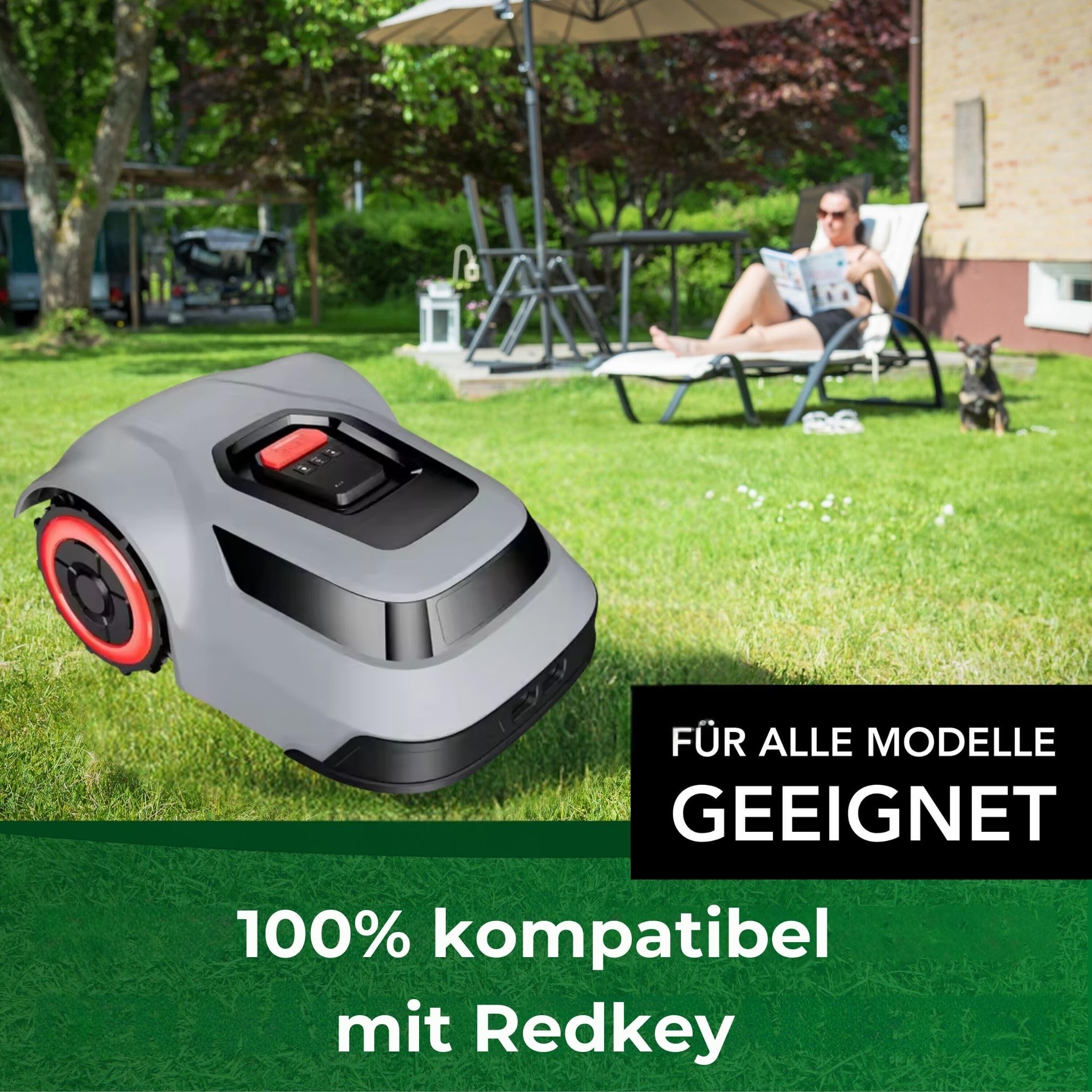 Genisys LongLife HQ2025 lame robot tosaerba 30 pezzi Redkey