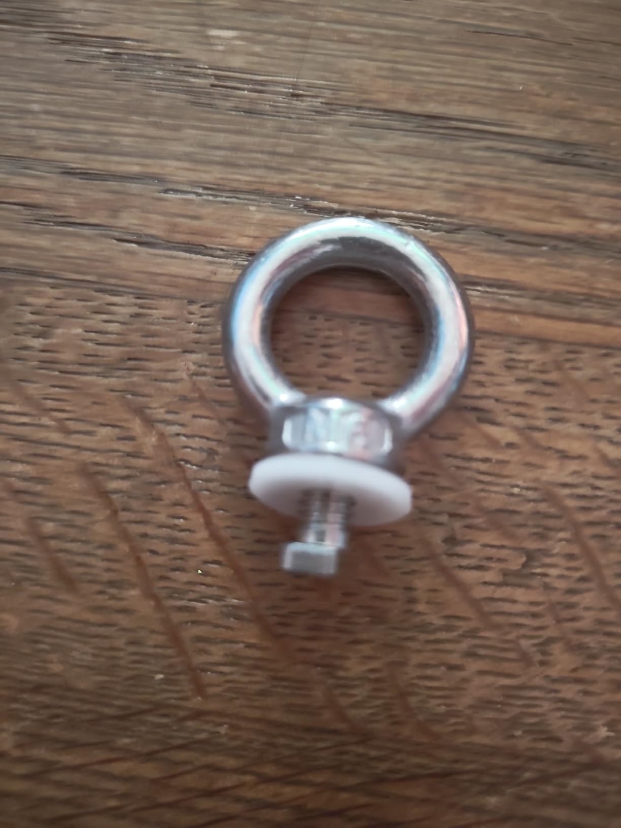 ECENCE Dadi a Occhiello M6 Inox 8 Pezzi con Viti