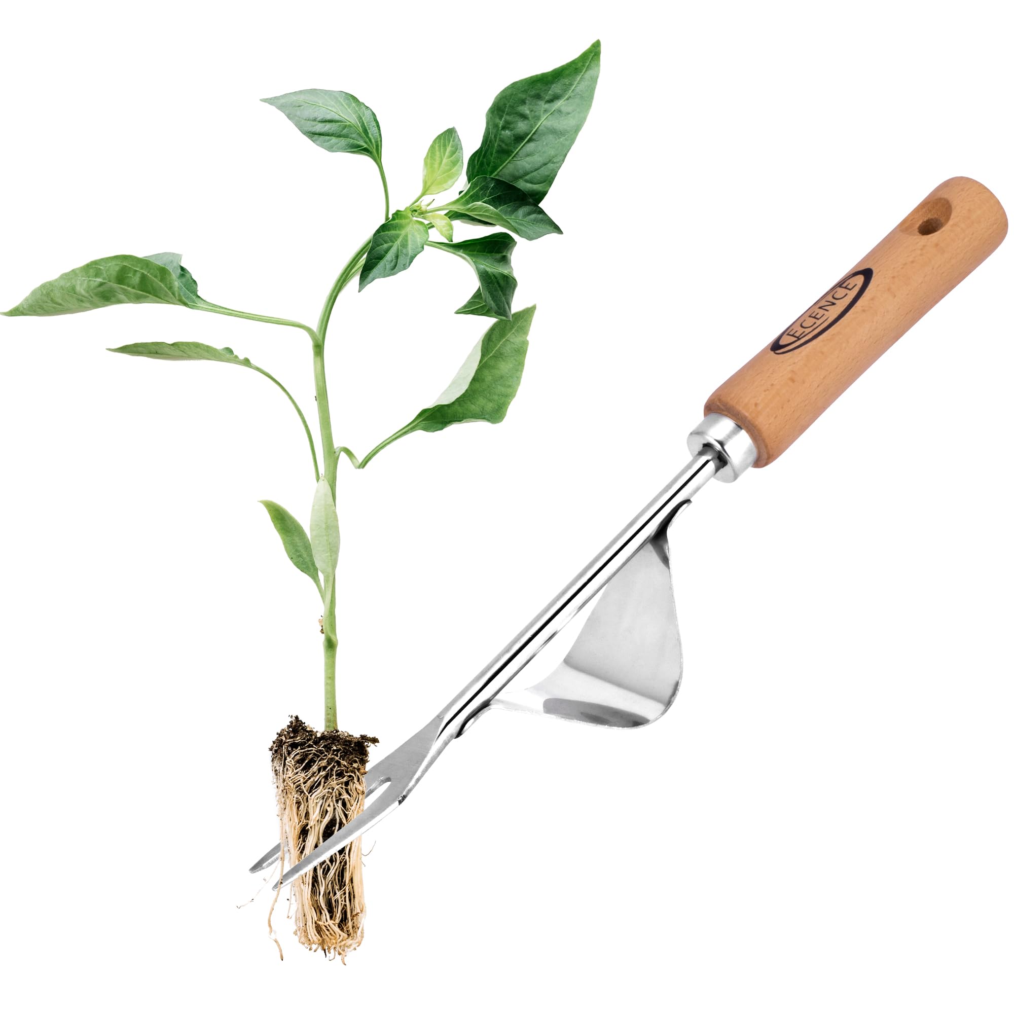 ECENCE Estirpatore erbacce manuale acciaio inox manico legno