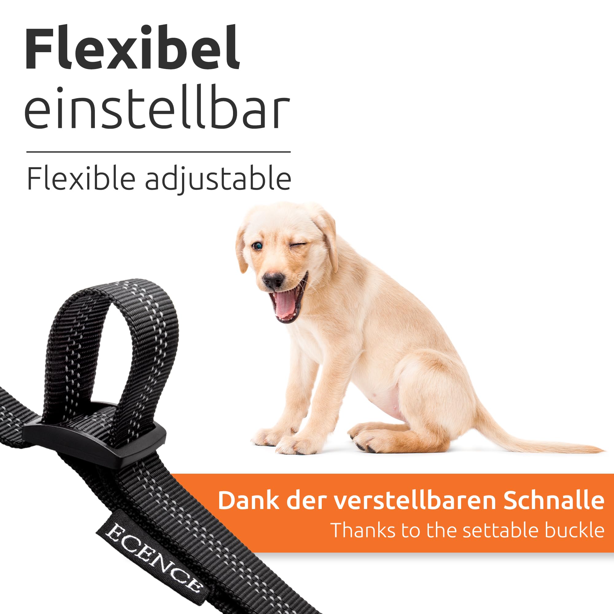 ECENCE cintura sicurezza cane auto elastica 2 pezzi