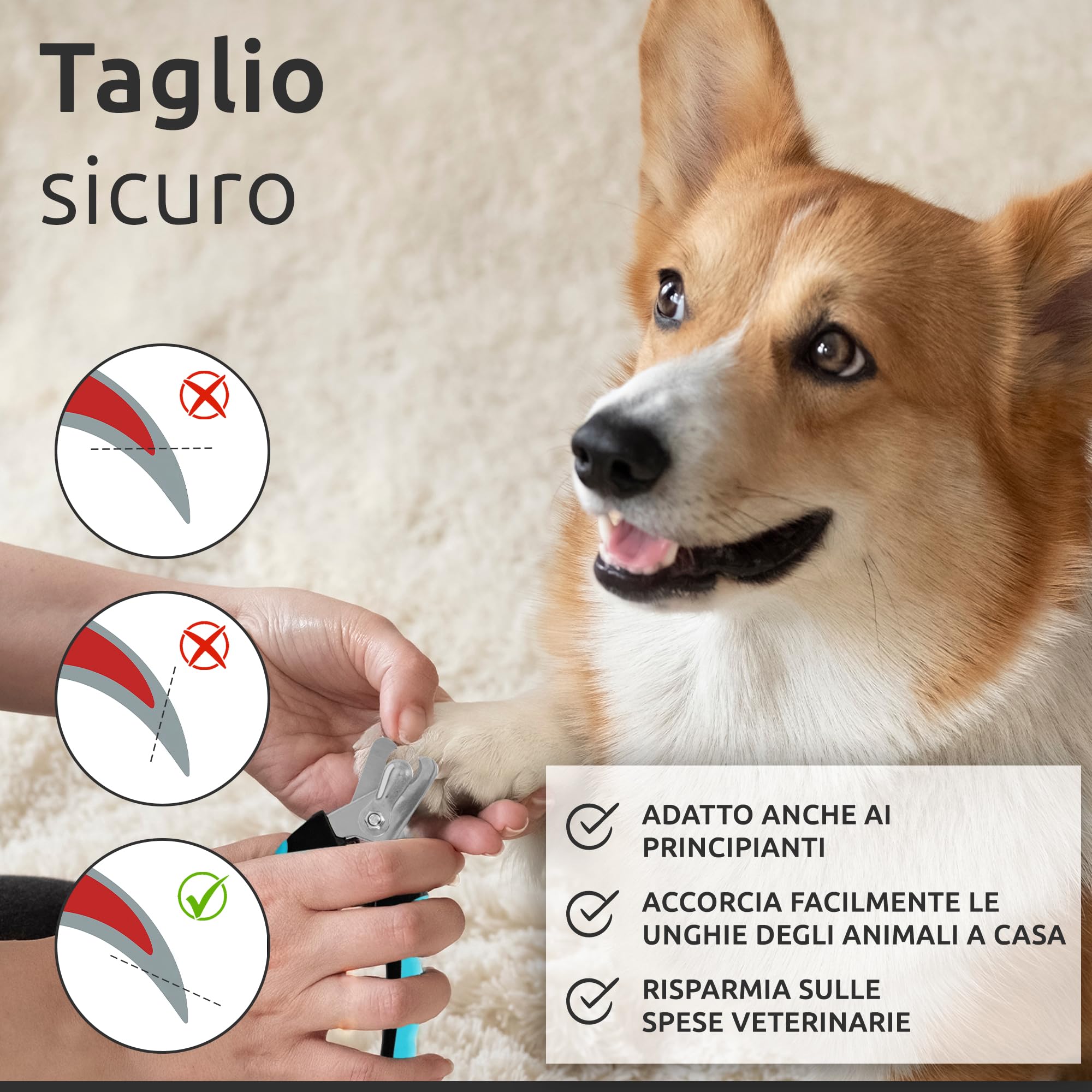 ECENCE Tagliaunghie Cani Gatti Acciaio Inox con Lima Sicurezza