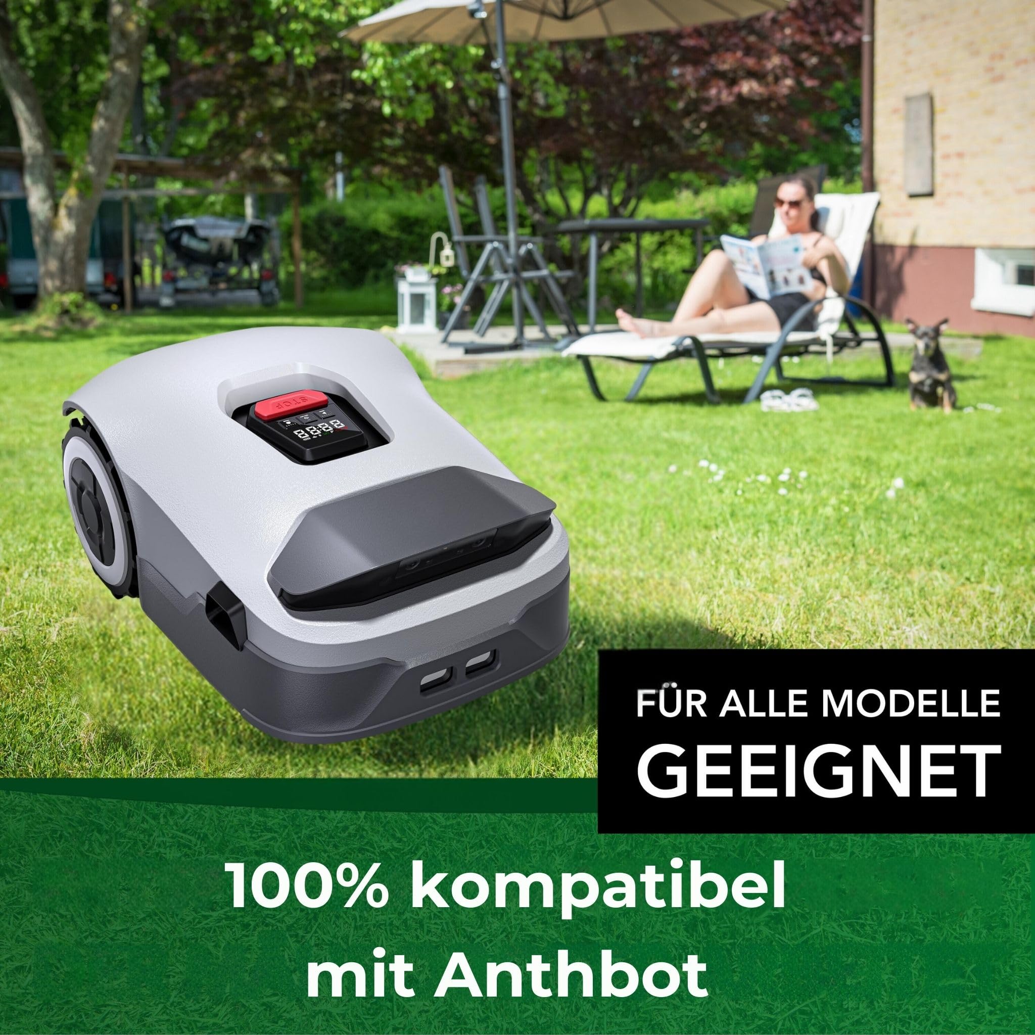 GENISYS Lame Robot Anthbot Pion Genie 30 Pezzi Inox