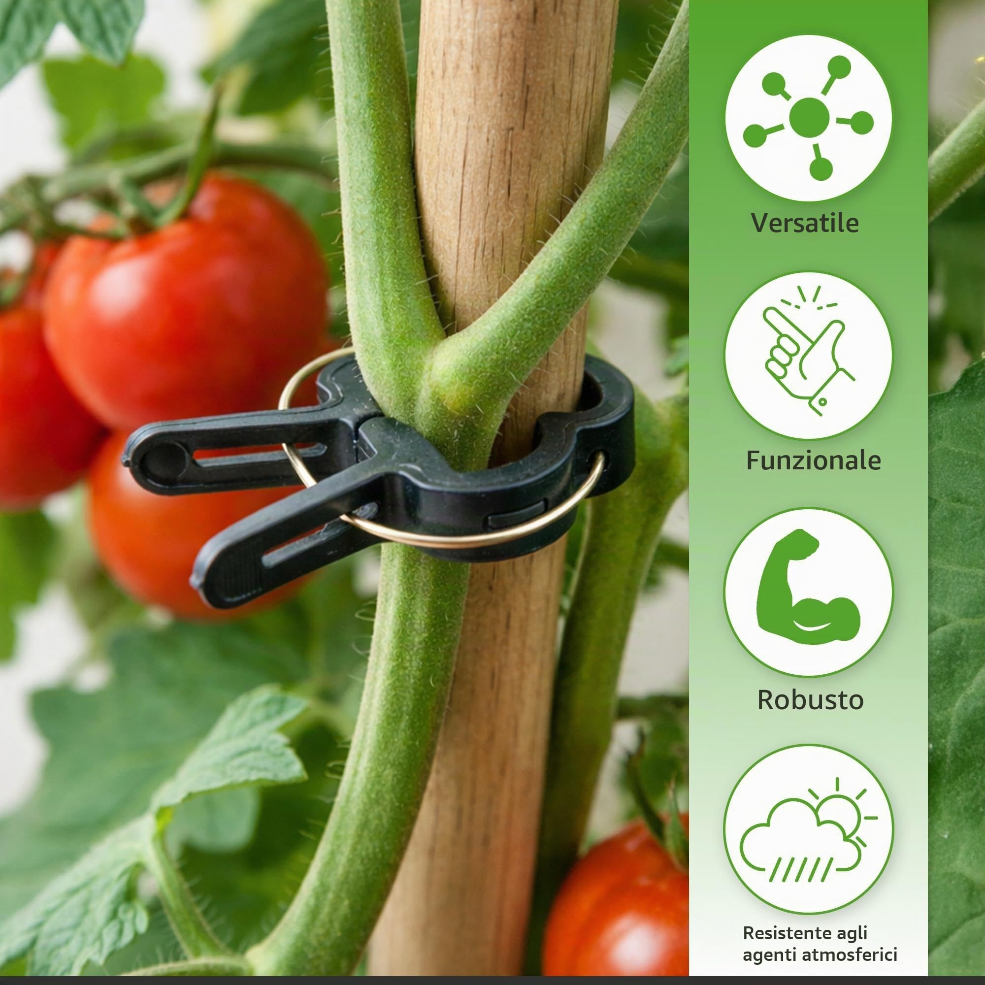 ECENCE clip piante pomodori 60 pezzi misura M verdi